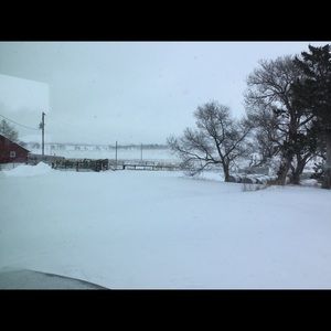 Meet your Posher, Karlene